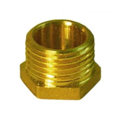 Заглушка латунная (пробка) Ду 20 нар.р.