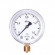Манометр МТ-100х10кгс/см2 G1/2 БАГОРИЯ
