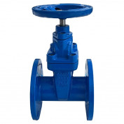 Задвижка чугунная 30ч39р аналог МЗВ Ду300 Ру16 XKprom