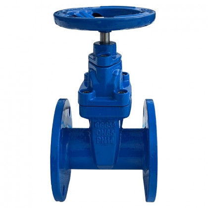 Задвижка чугунная 30ч39р аналог МЗВ Ду300 Ру16 XKprom