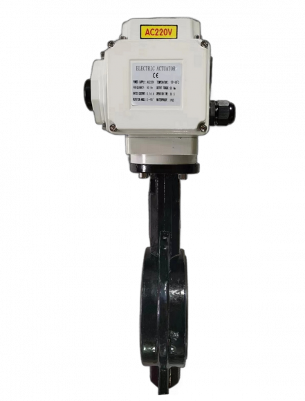 ЗДП с чугунным диском и электроприводом 220В Ду125 Ру16